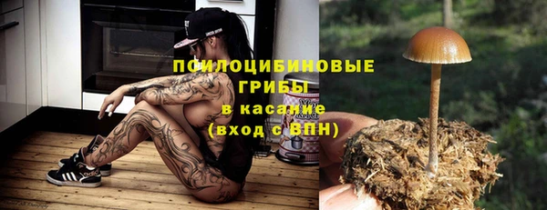не бодяженный Беломорск