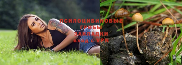 СК Белокуриха